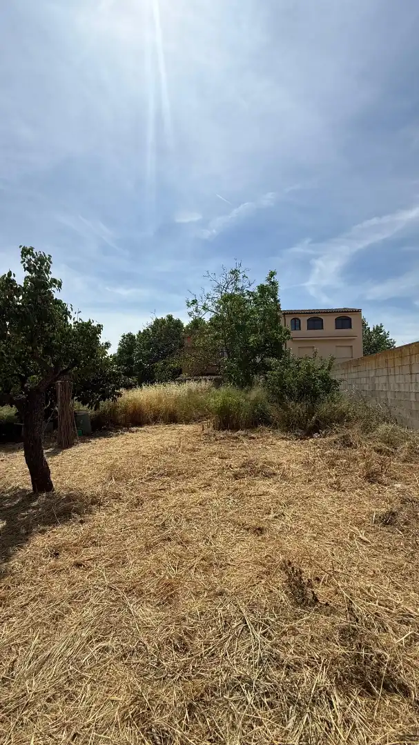 Casa o xalet en venda en Flix amb Jardí privat