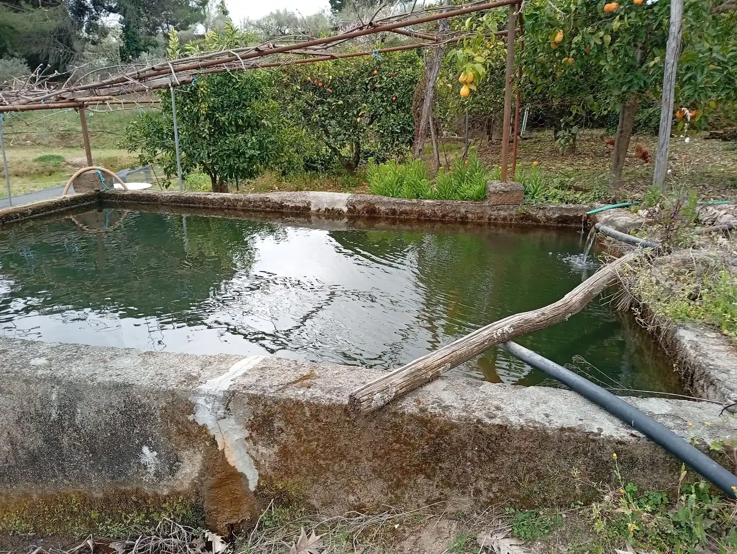 Terreni e lotti in vendita a Villanueva de la Vera, imagen 36