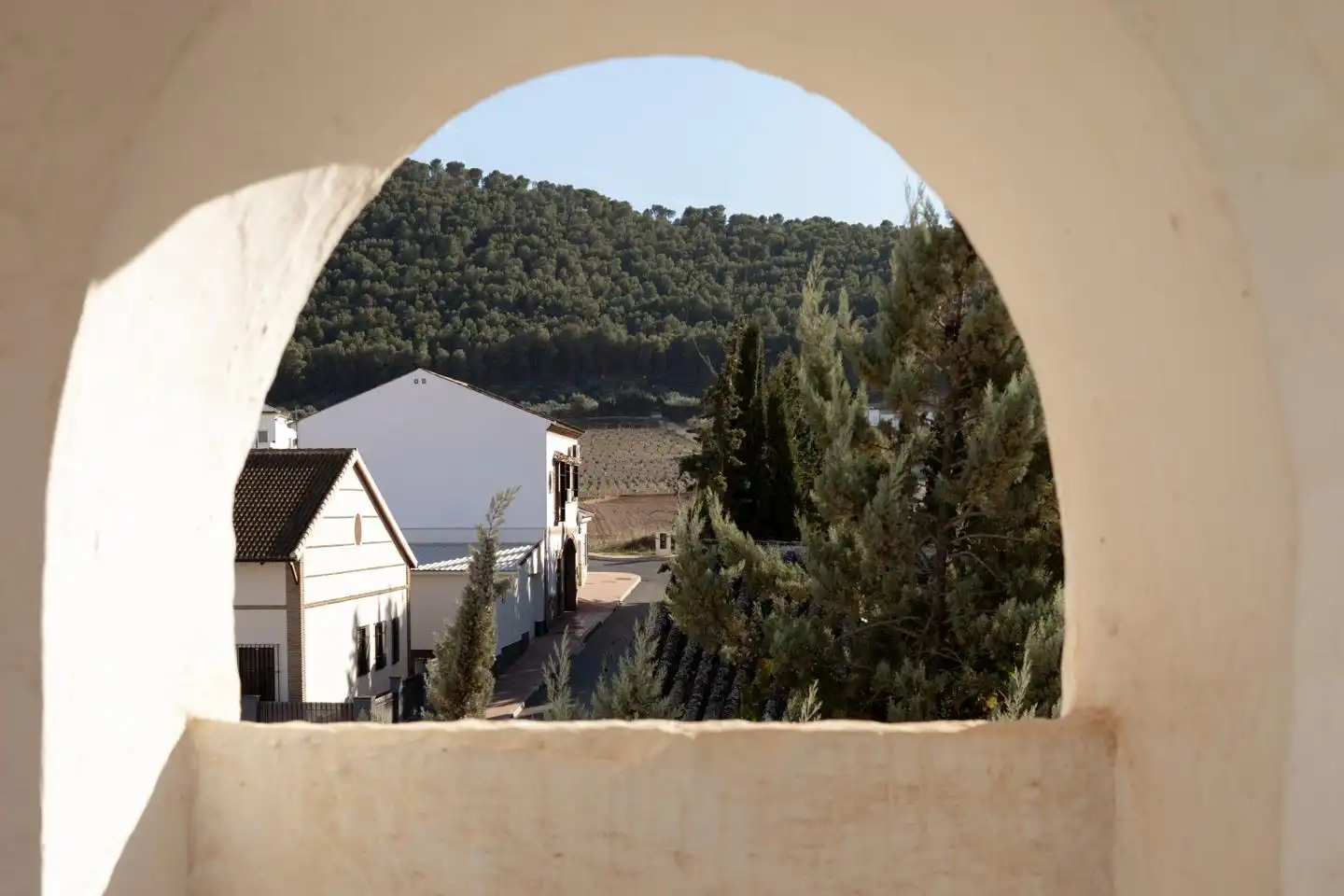 Casa con jardín en venta en Calvario 46, imagen 5