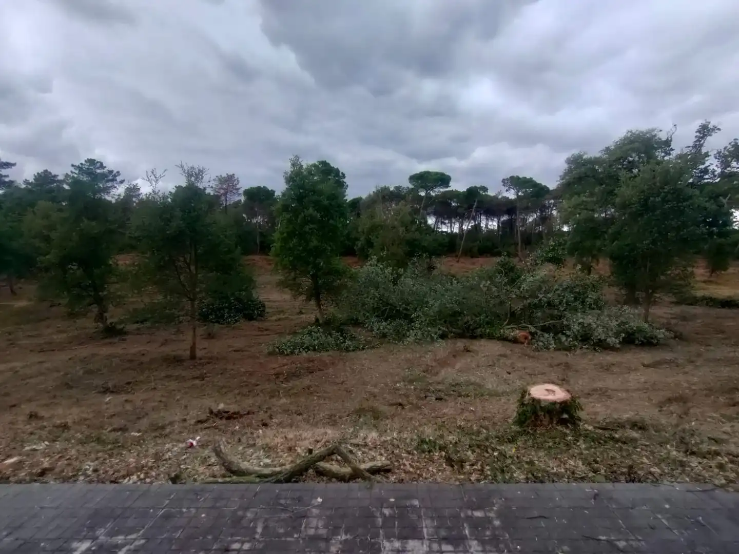 Residential land for sale in Avinguda Catalunya, imagen 8