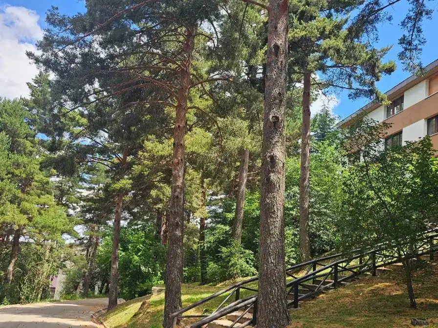 Apartament en venda en Cerezo de Arriba