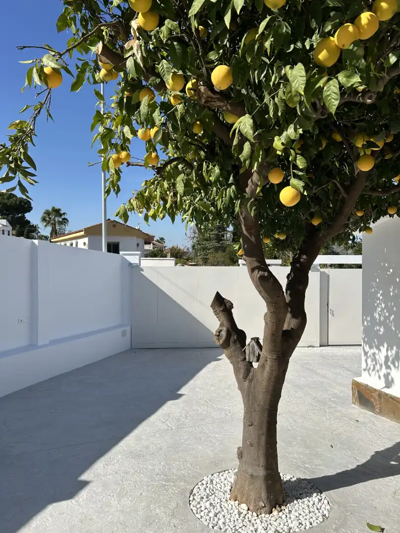 Außenansicht von Haus oder Chalet zum Verkauf in Alhaurín de la Torre mit Klimaanlage, Heizung und Privatgarten