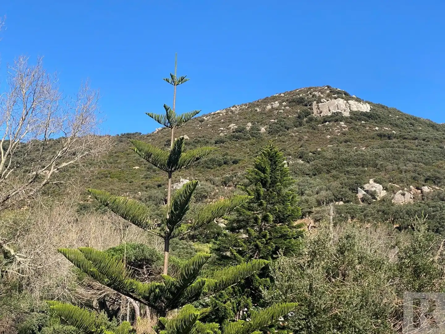 Haus zum Verkauf in Área "El Bornizo" . Lugar El Bujeo Tarifa CADIZ, imagen 60