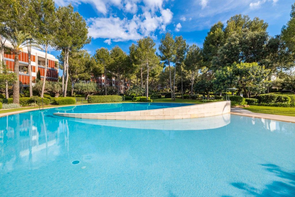 Schwimmbecken von Wohnungen zum Verkauf in Calvià mit Klimaanlage, Heizung und Terrasse