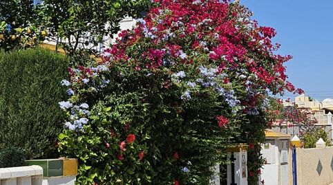 Foto 2 de Planta baja en venta en Calle Calle Aries, 19, La Florida, Orihuela