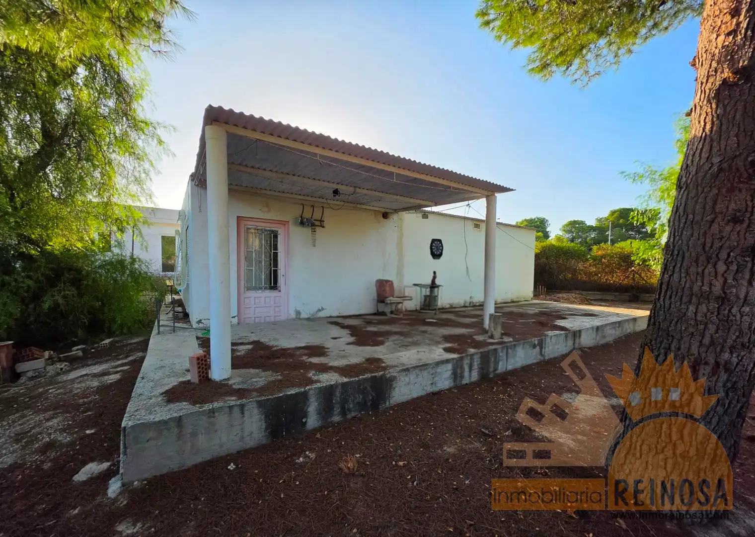 Vista exterior de Finca rústica en venta en Molina de Segura