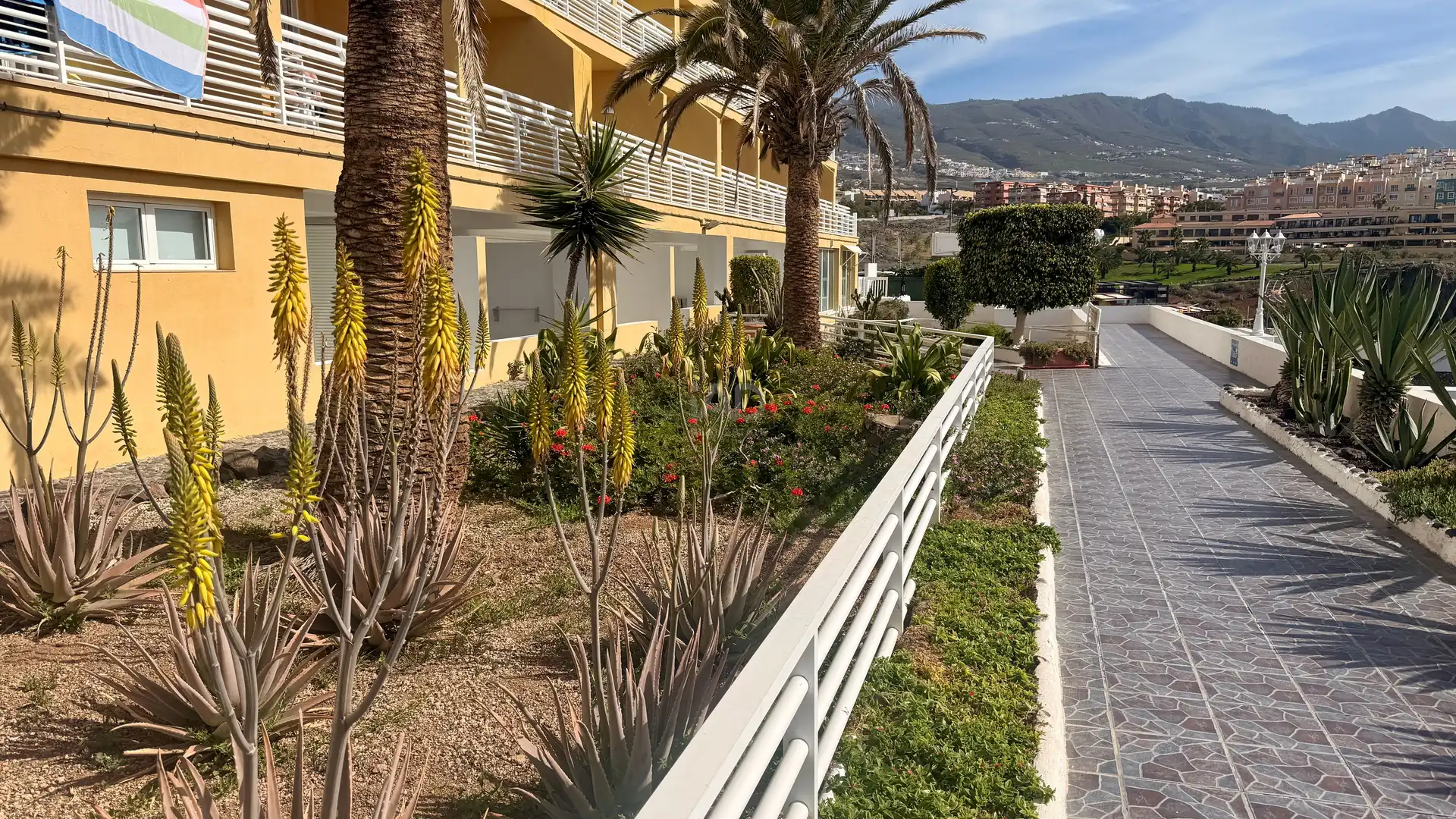 Vista exterior de Pis en venda en Adeje amb Terrassa i Piscina