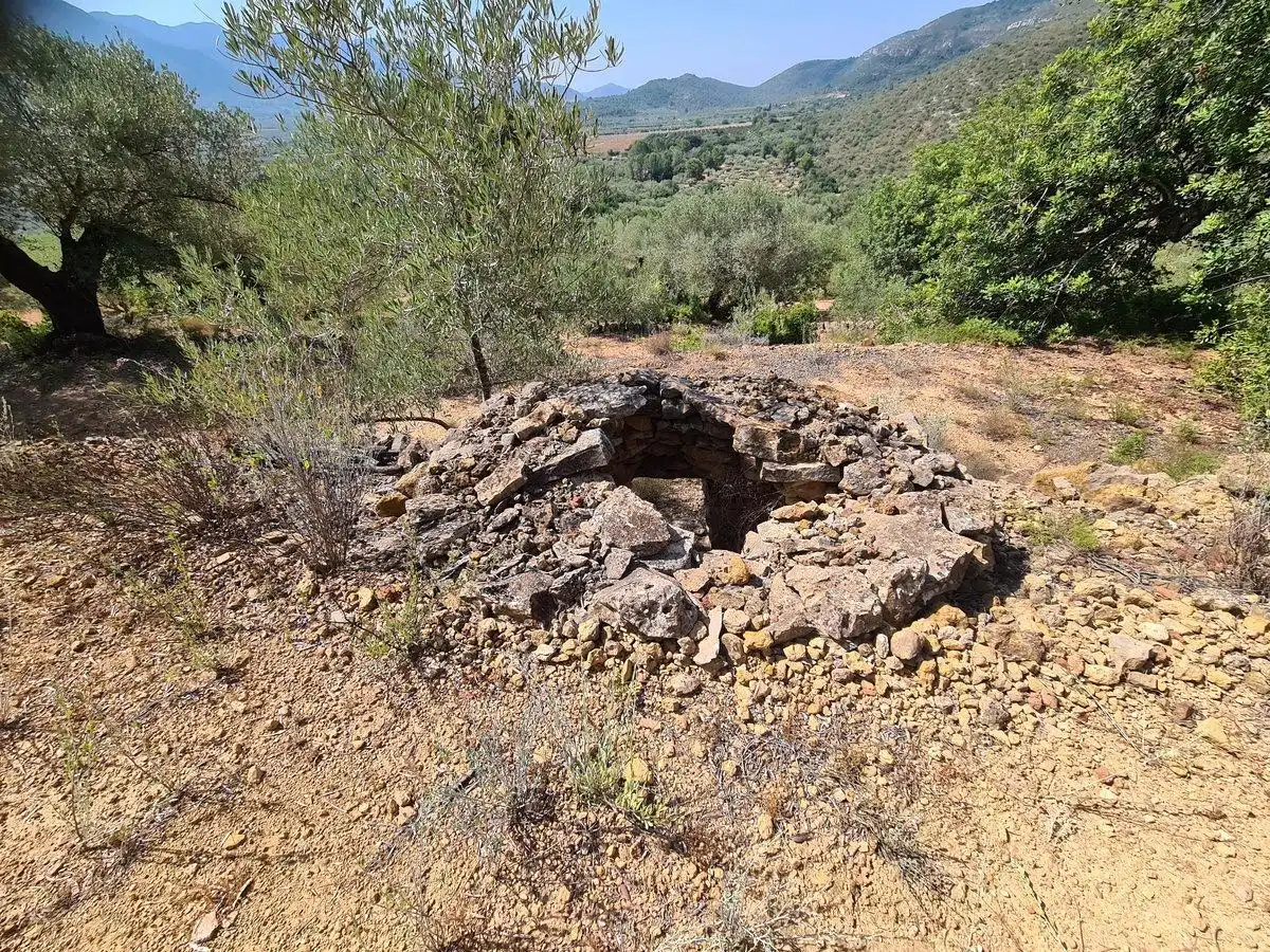 Terreno rustico in vendita a Freginals, imagen 8