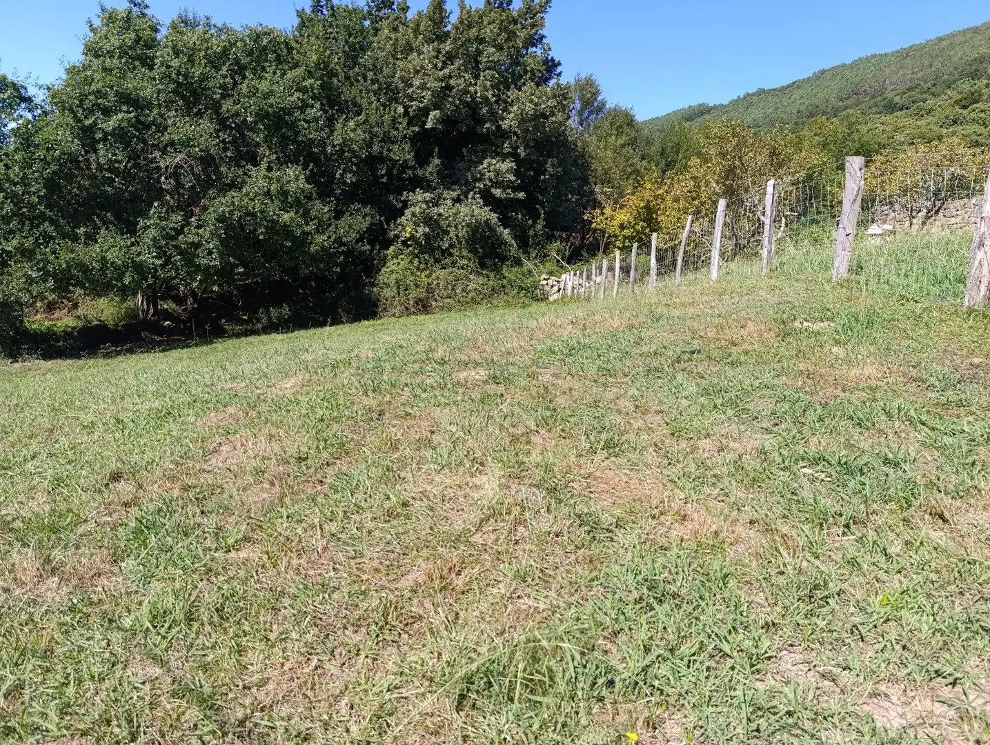 Terreno rústico en venta en Lezo, imagen 5