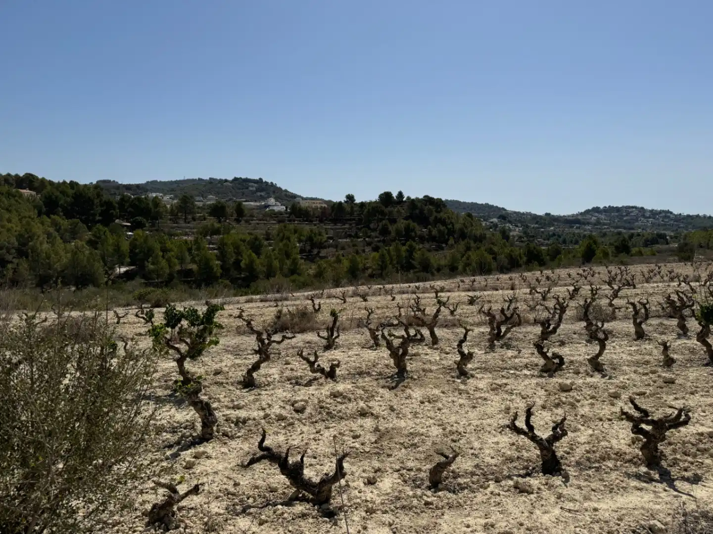 Terrenos y solares en venta en Benissa pueblo, imagen 6
