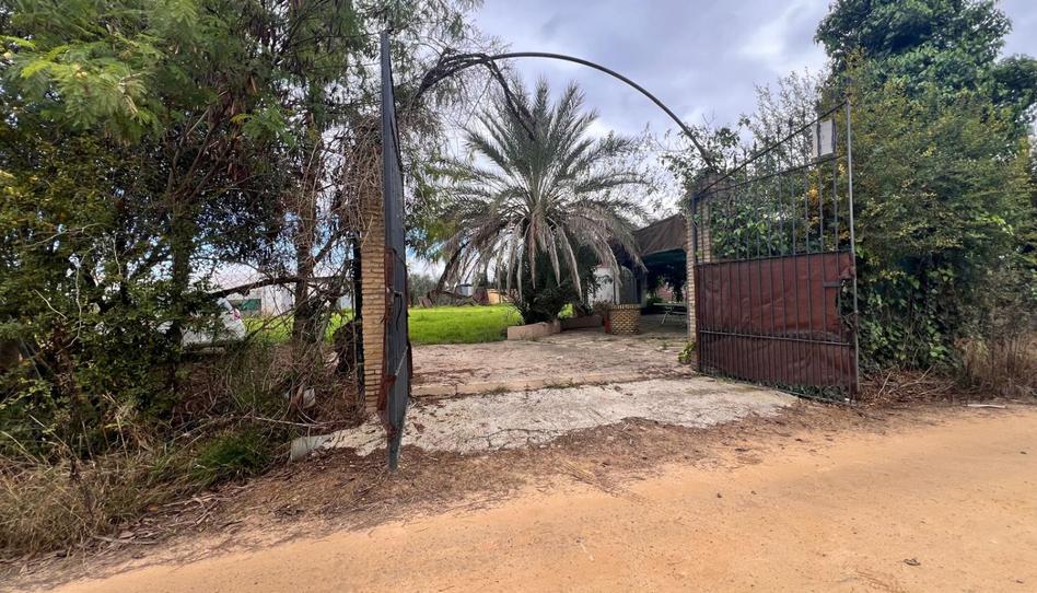 Foto 1 de Casa o chalet en venta en Los Palacios y Villafranca, Sevilla