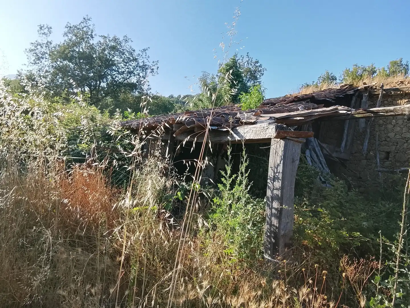 Terreni e lotti in vendita a Villanueva de la Vera, imagen 20