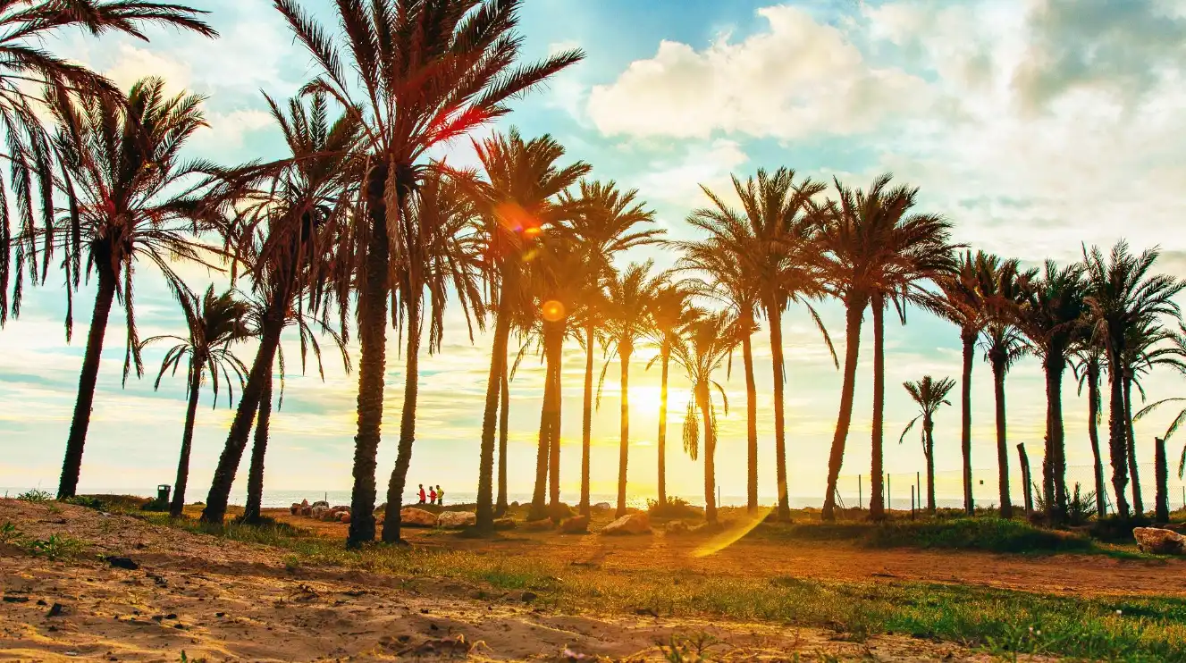 Vista exterior de Dúplex en venta en Torrevieja con Aire acondicionado, Calefacción y Terraza