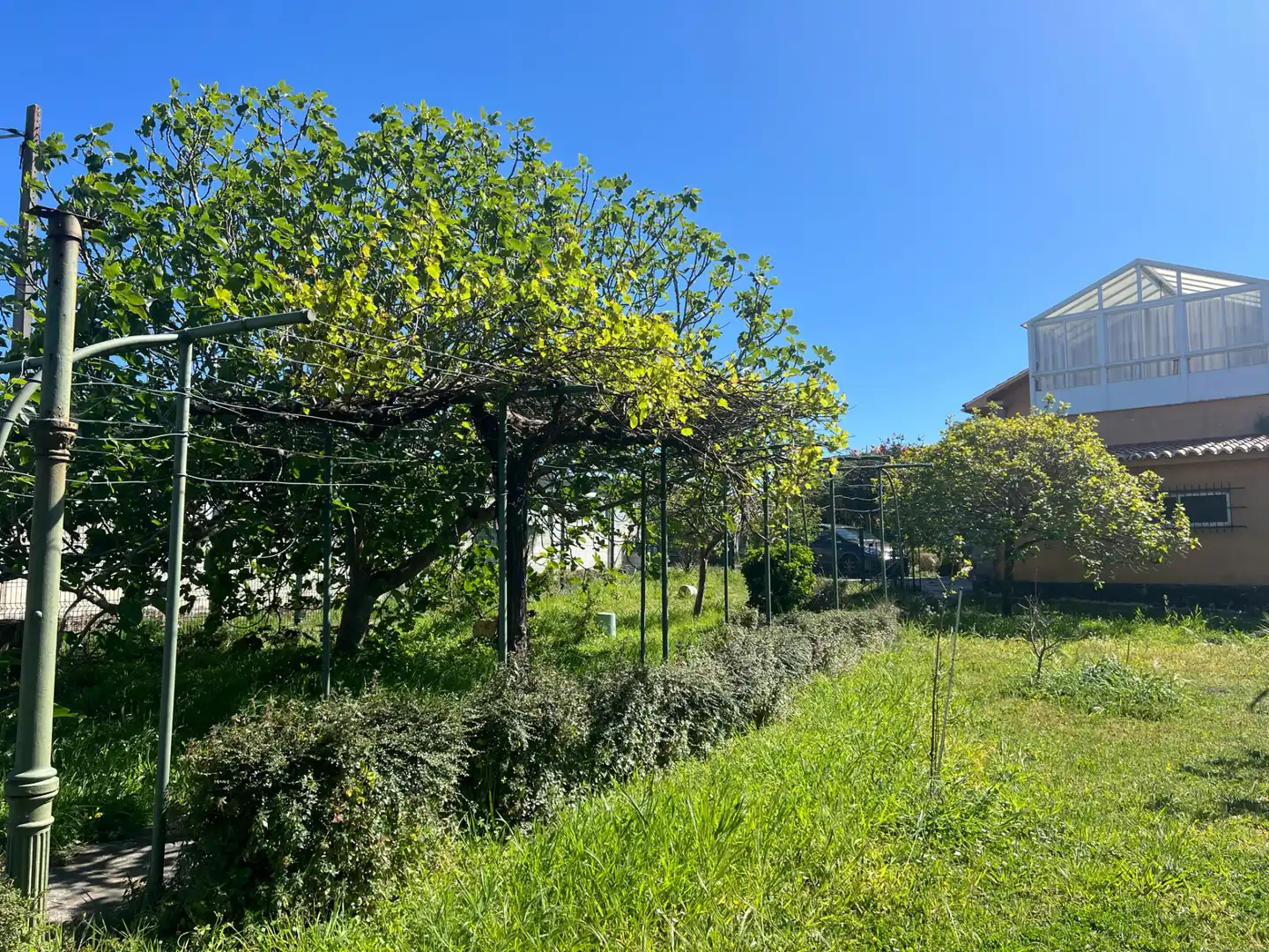 Chalet con terraza en venta en Área Rural, imagen 32