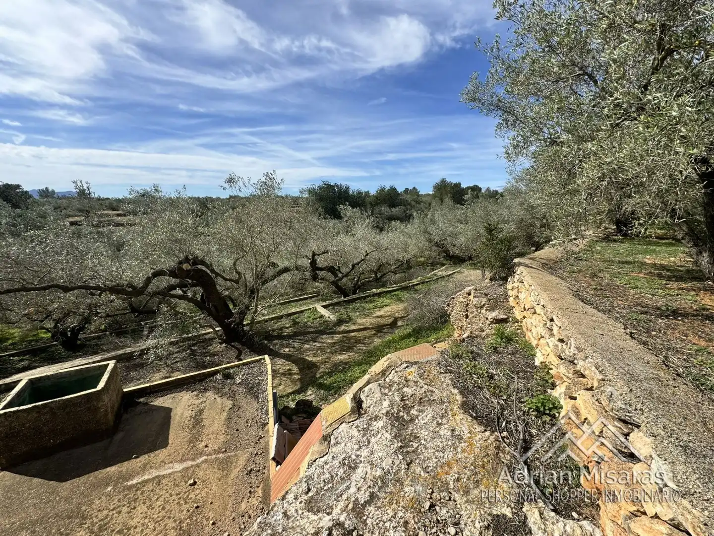 Terreno rústico en venta en L'Aldea, imagen 16
