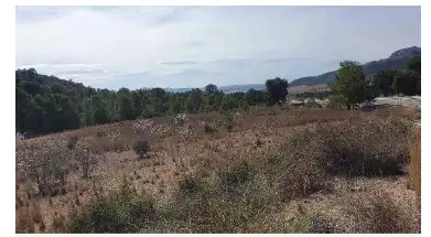 Terreni e lotti in vendita a Hellín
