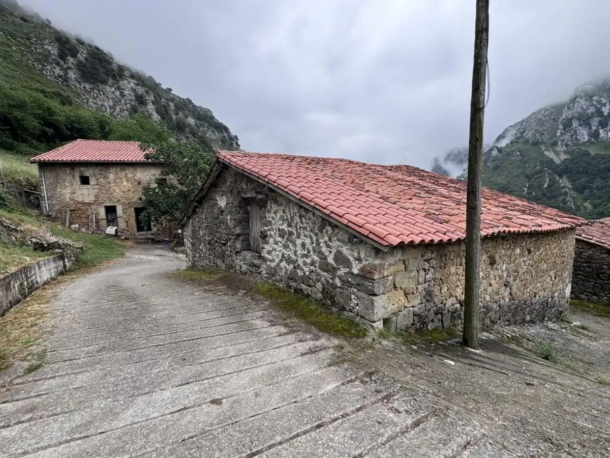 House for sale in Peñamellera Alta, imagen 37