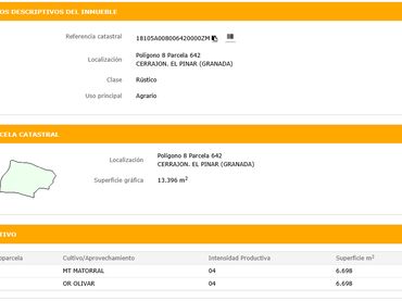 Terreny rústic en venda a El Pinar
