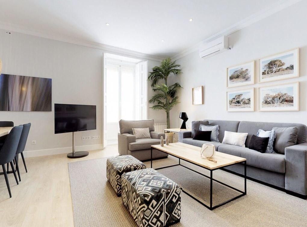 Living room of Flat to rent in Málaga Capital  with Air Conditioner, Furnished and Pets allowed