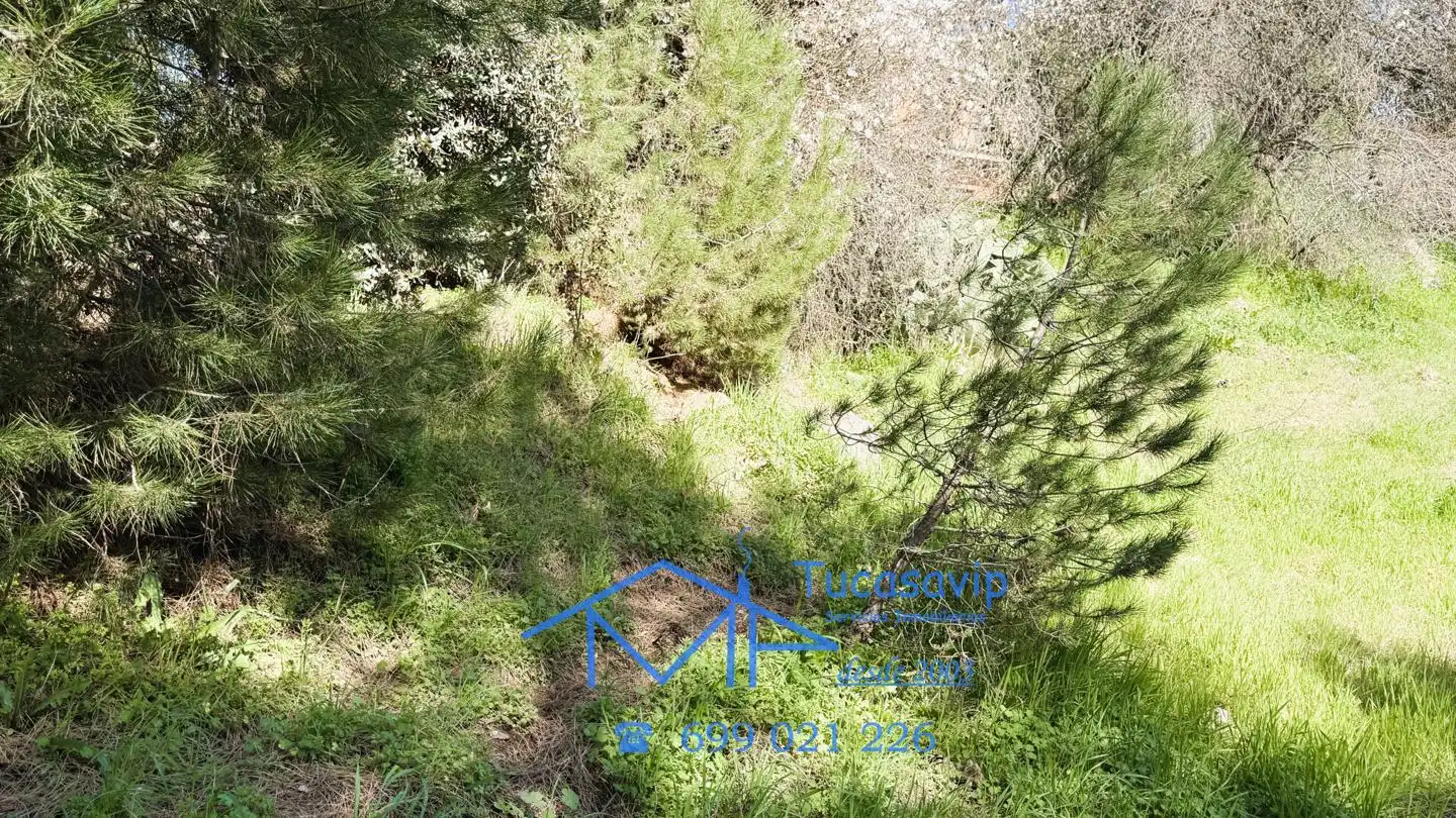Terrenys i solars en venda a San Martín de Valdeiglesias, imagen 11