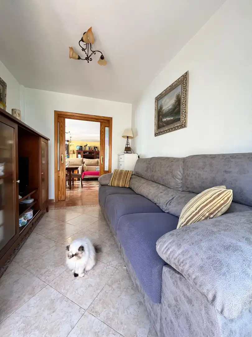 House with terrace for sale in Calle RUGGERO GASPARET, imagen 17