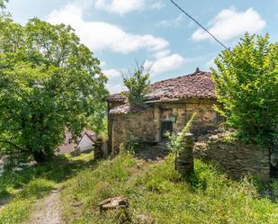 Vista exterior de Casa o xalet en venda en Tineo amb Terrassa