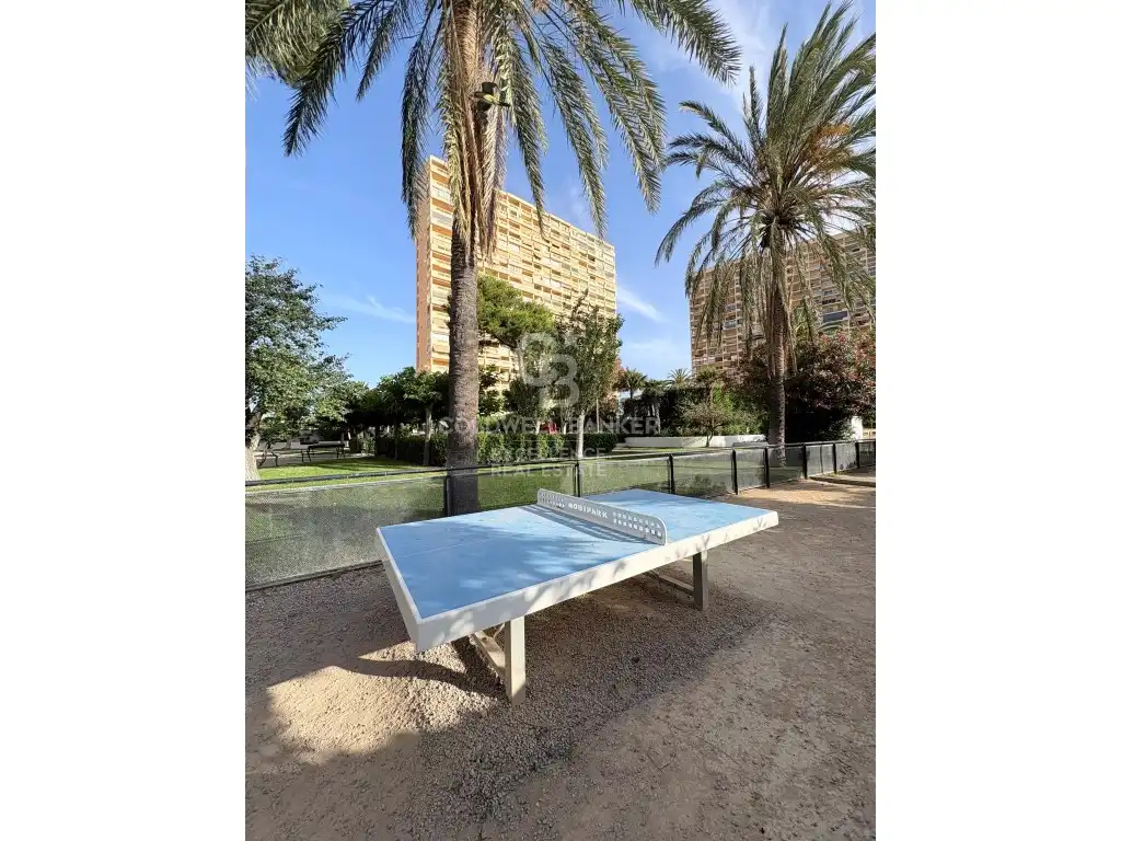 Vista exterior de Planta baja en venta en El Puig de Santa Maria con Jardín privado, Piscina y Horno