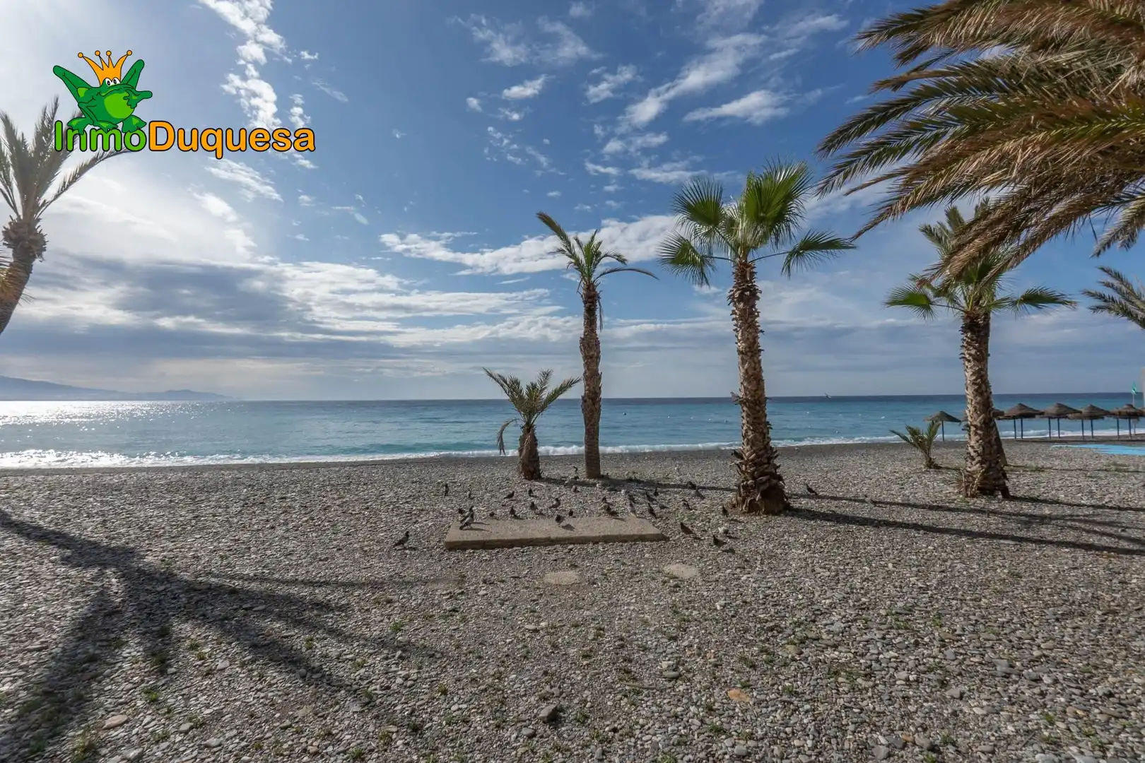 Exterior view of Detached homes for sale in Almuñécar  with Private garden, Terrace and Storage room