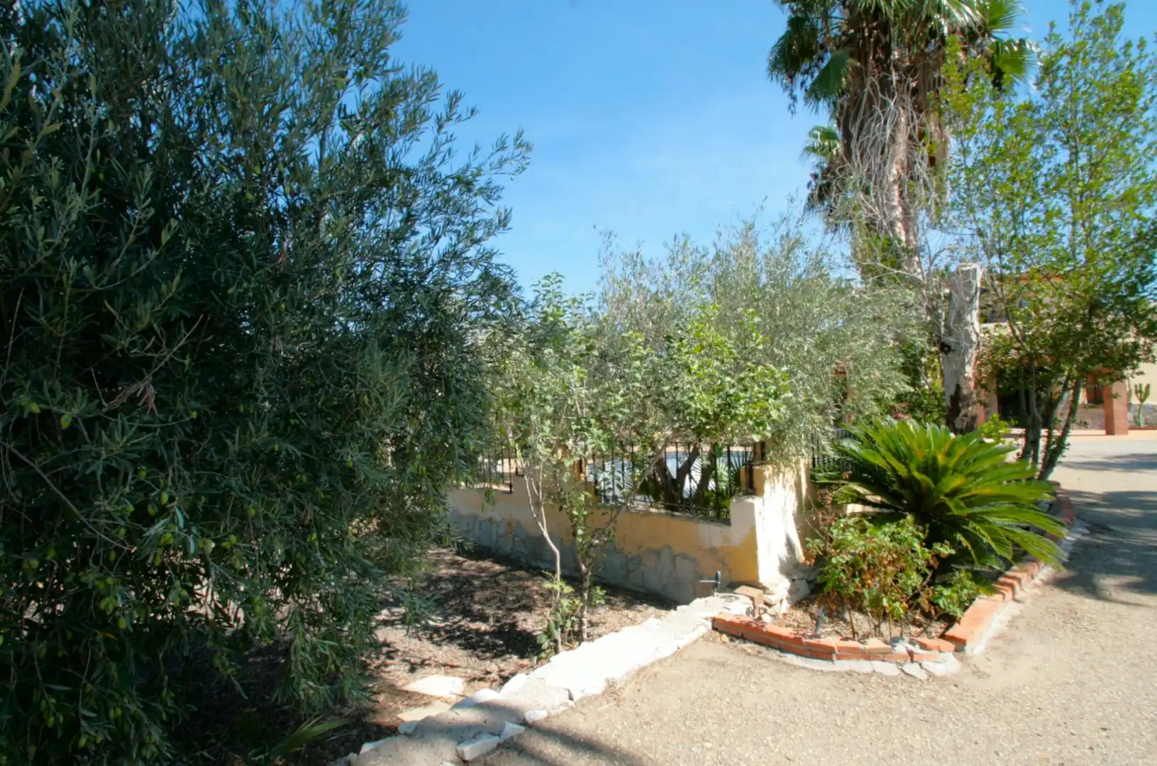 Jardín de Casa o chalet en venta en Cantoria con Jardín privado, Terraza y Piscina