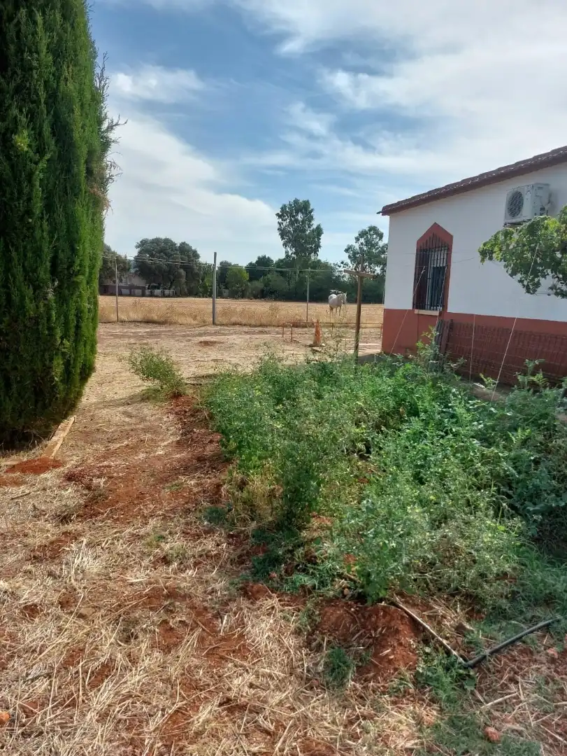 Country homes for rent in Argamasilla de Calatrava, Ciudad Real