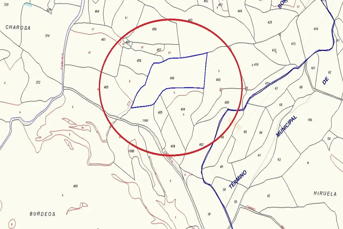 Terreno rustico in vendita a Borja, imagen 4