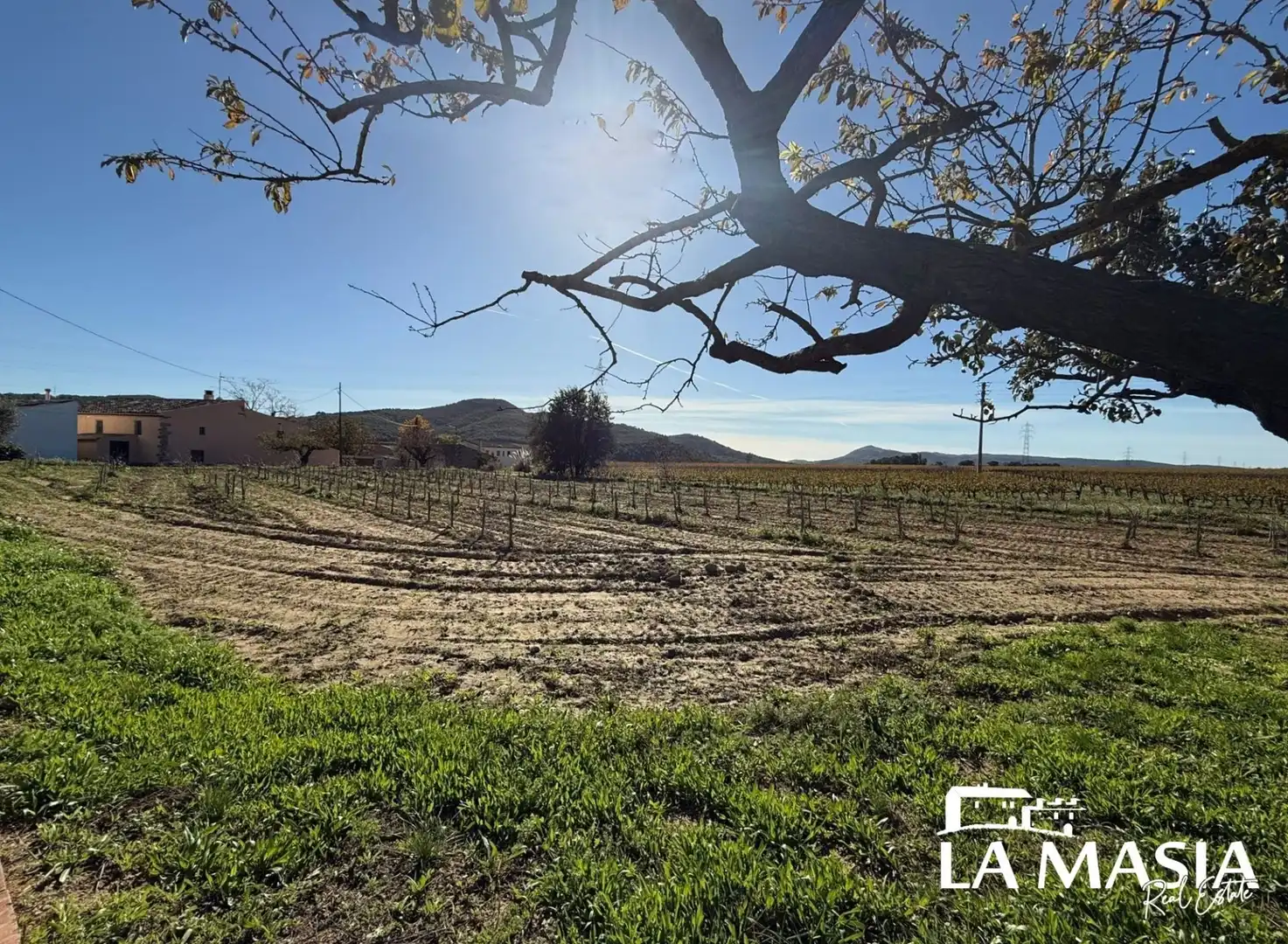 Finca rústica en venda en Olèrdola amb Jardí privat i Traster
