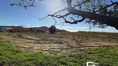 Foto 5 de Finca rústica en venda a Olèrdola, Barcelona