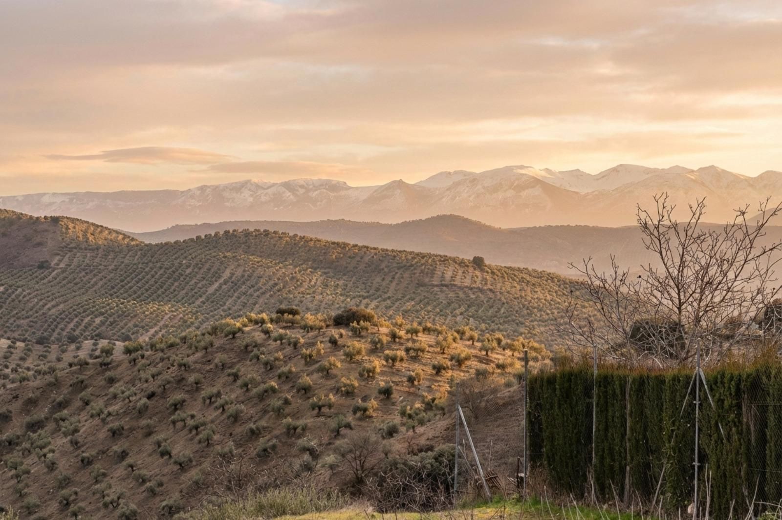 Exterior view of Residential for sale in Noalejo