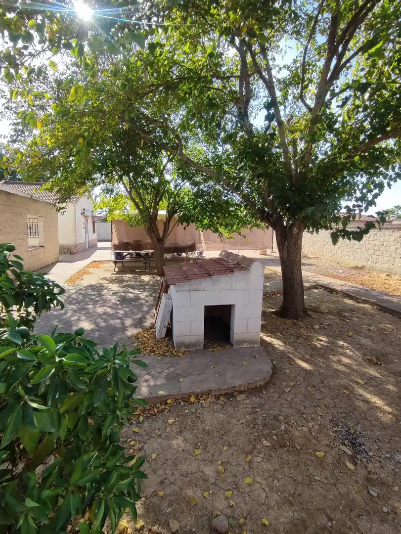 Chalet con piscina en venta en La Carlota, imagen 12