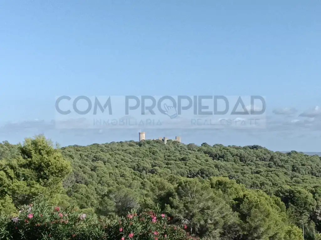 Garden of Residential for sale in  Palma de Mallorca
