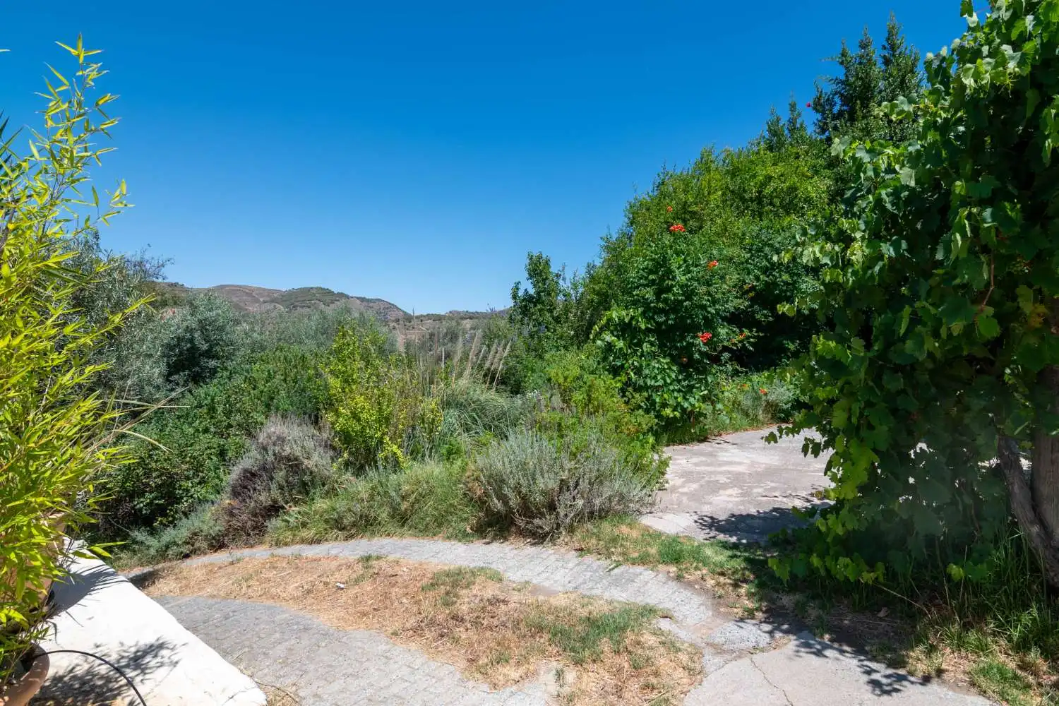Jardí de Finca rústica en venda en Lecrín amb Piscina