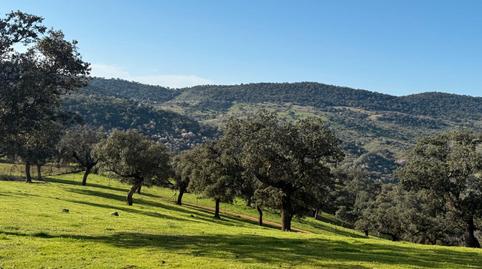 Foto 2 von Country house zum Verkauf in Villanueva del Rey, Córdoba