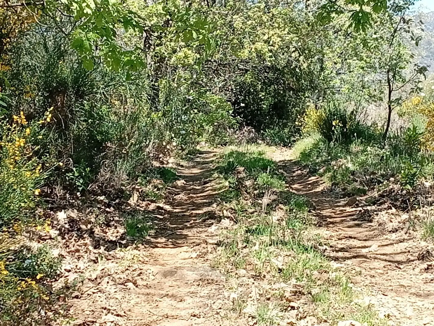 Terreni e lotti in vendita a Valverde de la Vera, imagen 68