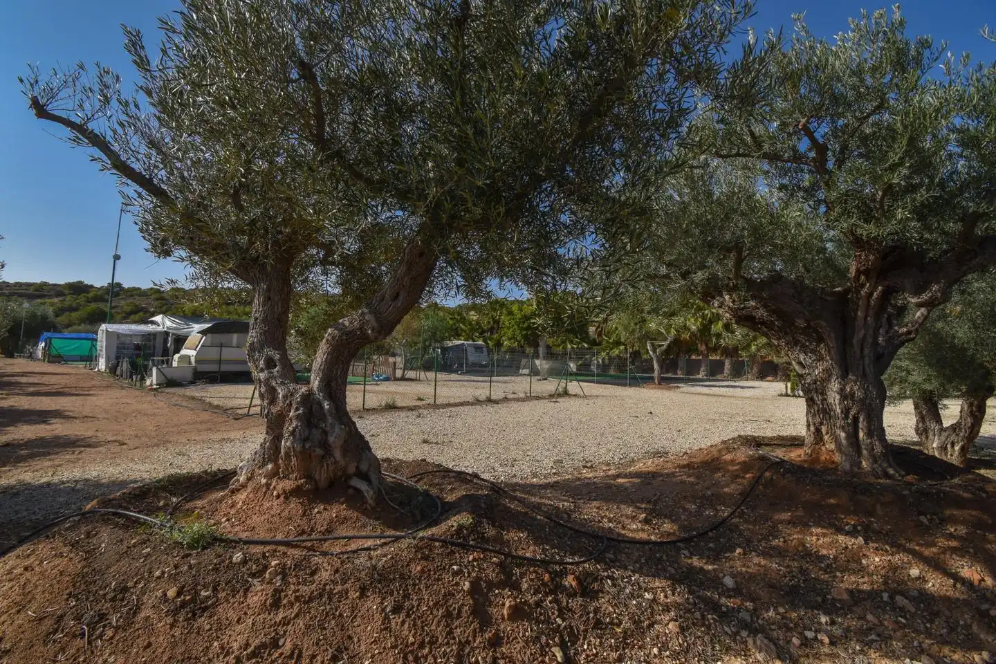 Rustikales Grundstück zum Verkauf in Partida Torrellano Alto, imagen 10