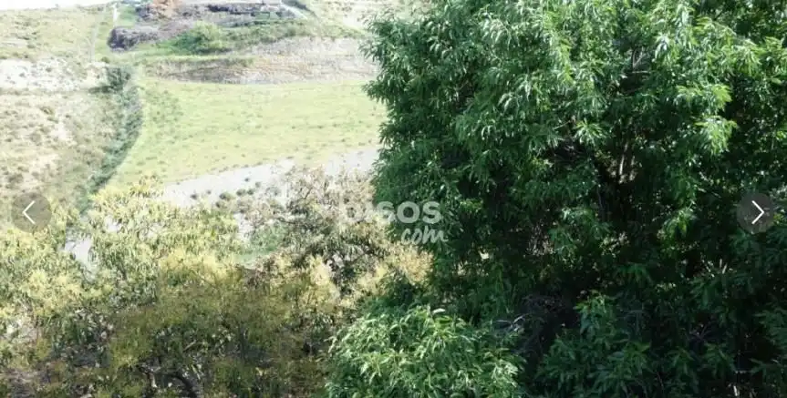 Terreno rústico en venta en Motril  ciudad, imagen 3