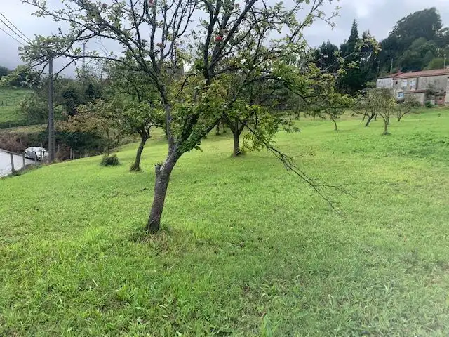 Terrenys i solars en venda a Rural, imagen 8