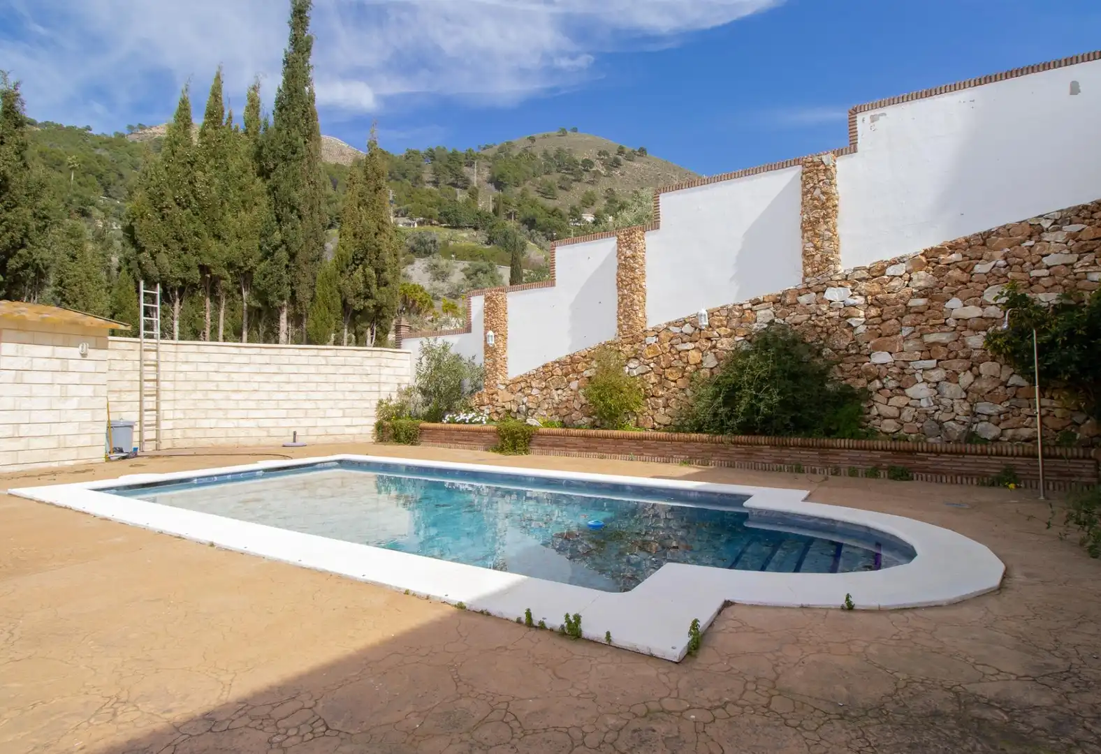Piscina de Casa o chalet en venta en Cómpeta