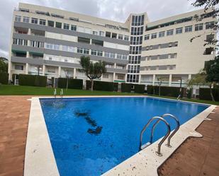 Swimming pool of Duplex to rent in Mont-roig del Camp  with Swimming Pool