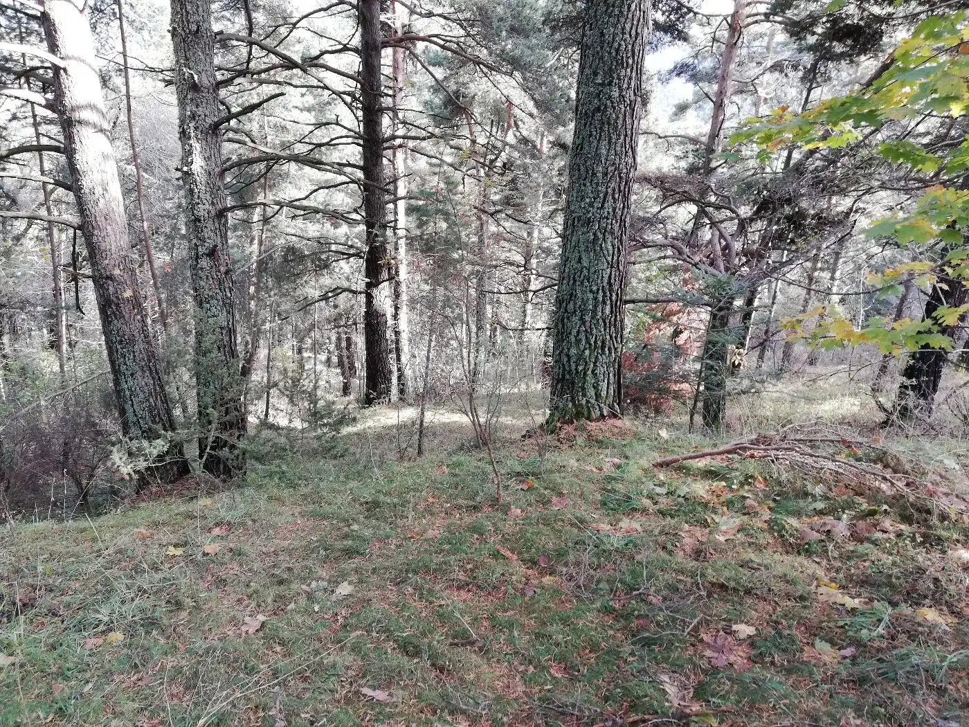 Wohnbaugrundstück zum Verkauf in Avinguda de la Molina 142, imagen 6