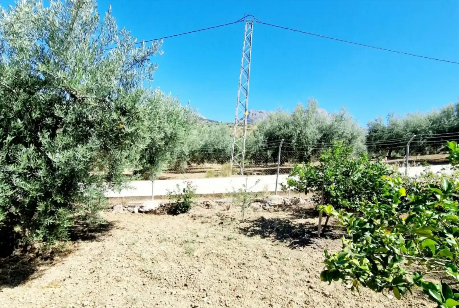 Casa o chalet de alquiler en Riogordo con Jardín privado