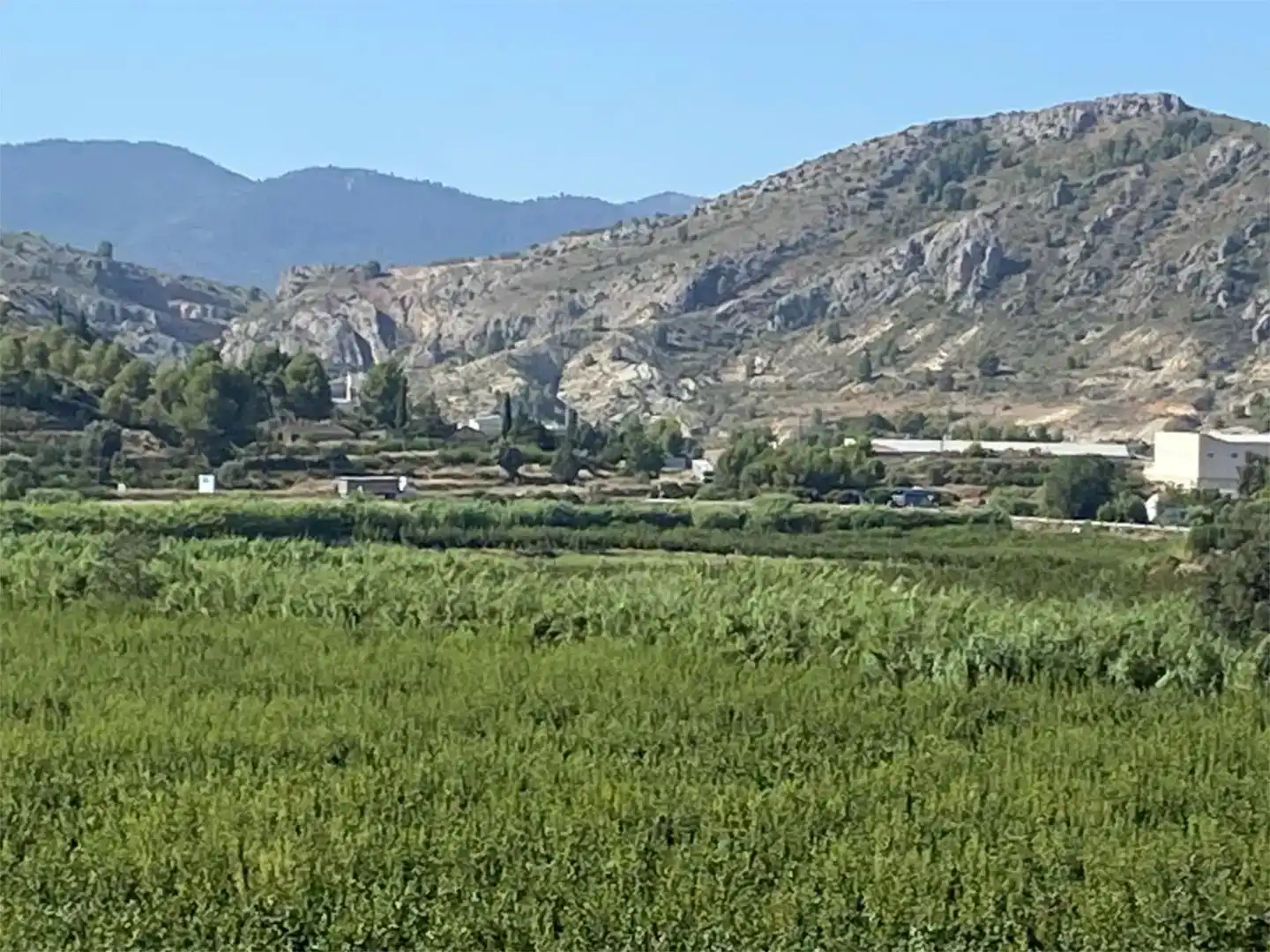 Vista exterior de Terreno industrial en venta en Caravaca de la Cruz