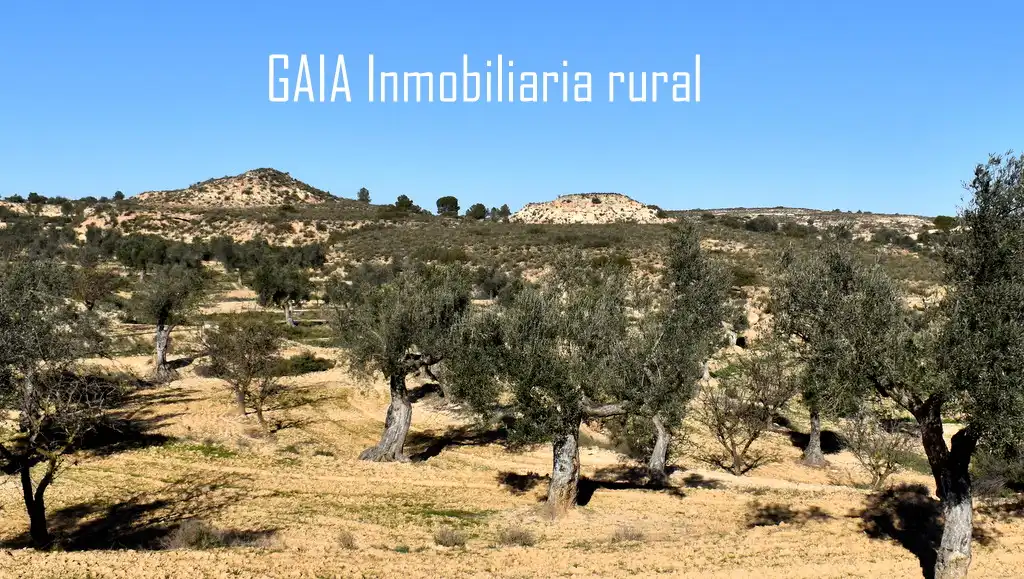 Casa rústica en venda a Maella, imagen 4