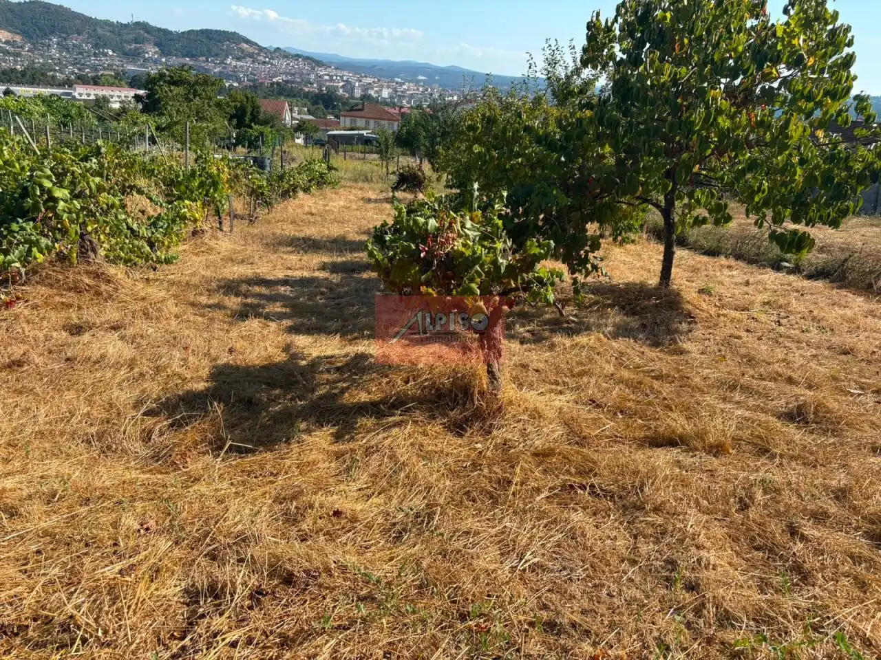 Casa o chalet en venta en Ourense Capital  con Calefacción y Jardín privado