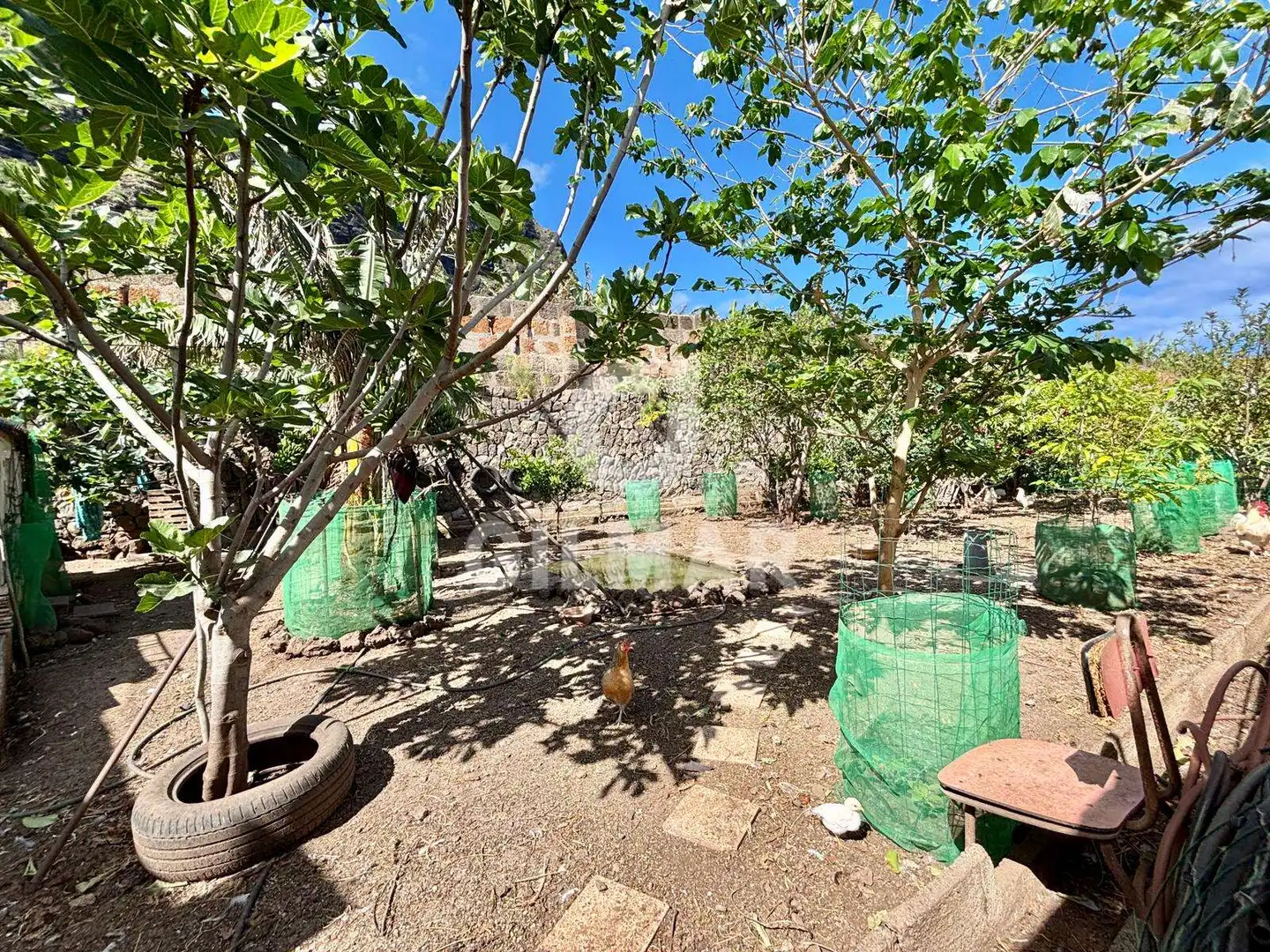 Jardí de Finca rústica en venda en Garachico amb Moblat